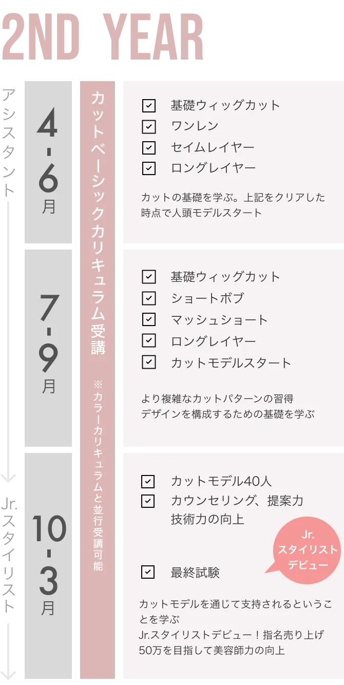 2年目カリキュラム